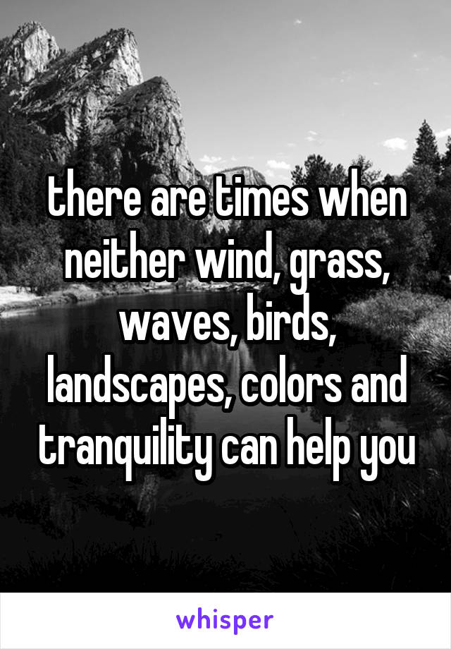 there are times when neither wind, grass, waves, birds, landscapes, colors and tranquility can help you