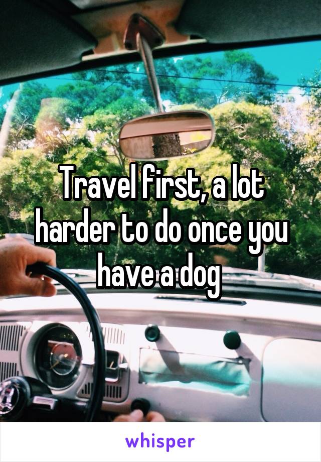 Travel first, a lot harder to do once you have a dog 