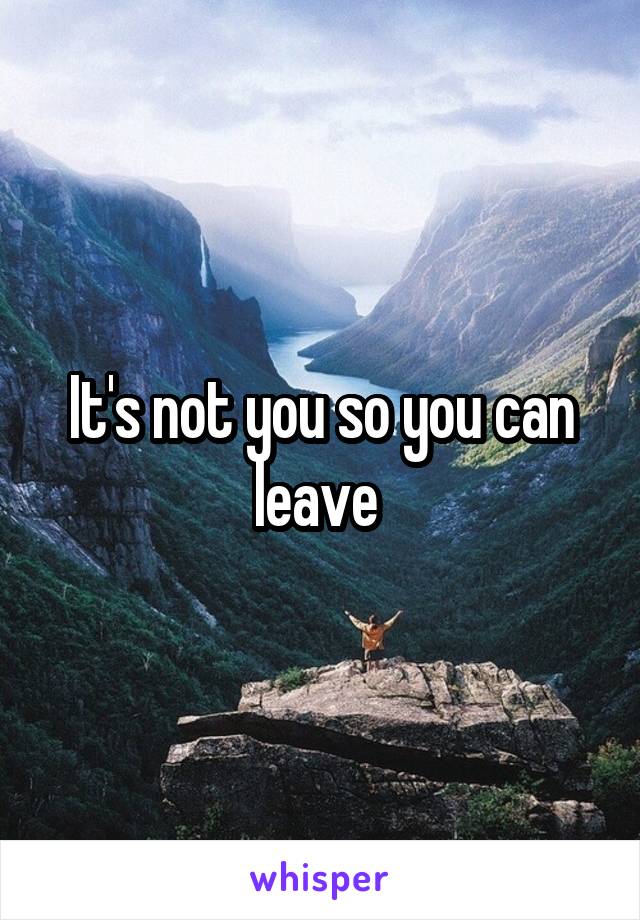 It's not you so you can leave 