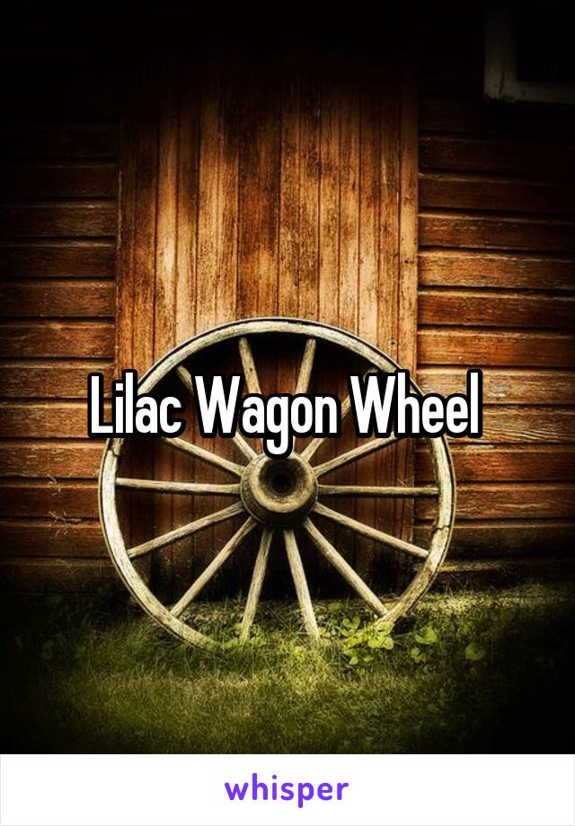 Lilac Wagon Wheel 