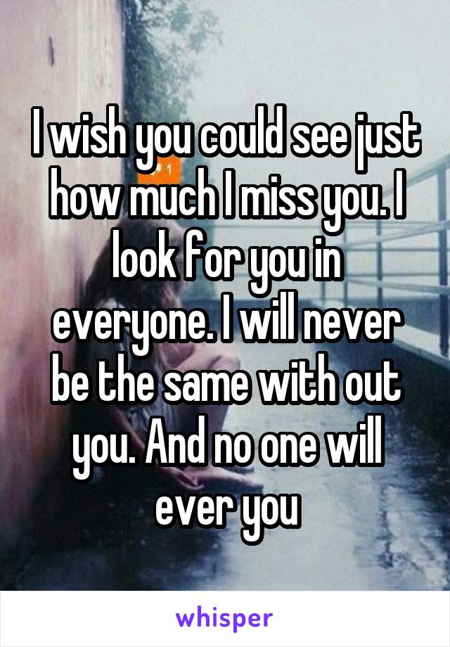 I wish you could see just how much I miss you. I look for you in everyone. I will never be the same with out you. And no one will ever you