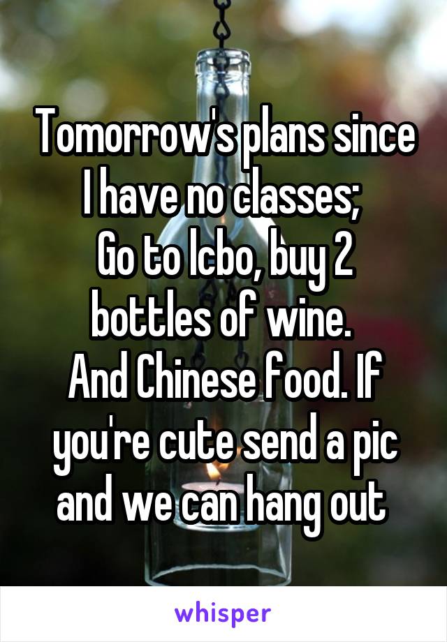 Tomorrow's plans since I have no classes; 
Go to lcbo, buy 2 bottles of wine. 
And Chinese food. If you're cute send a pic and we can hang out 