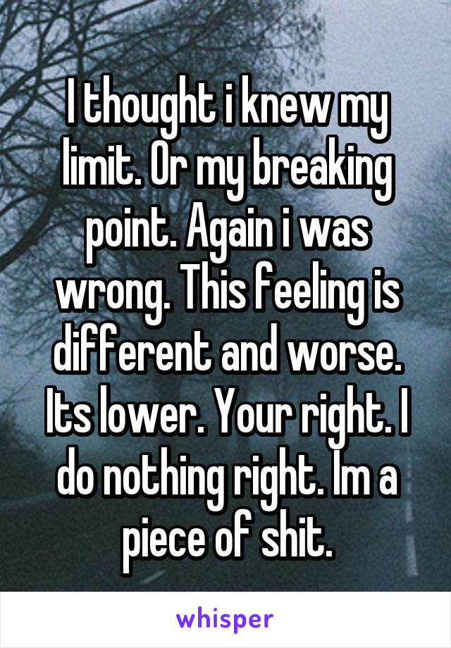 I thought i knew my limit. Or my breaking point. Again i was wrong. This feeling is different and worse. Its lower. Your right. I do nothing right. Im a piece of shit.