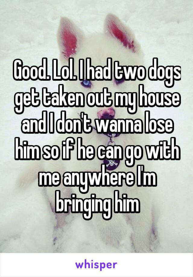 Good. Lol. I had two dogs get taken out my house and I don't wanna lose him so if he can go with me anywhere I'm bringing him