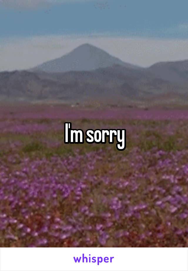 I'm sorry