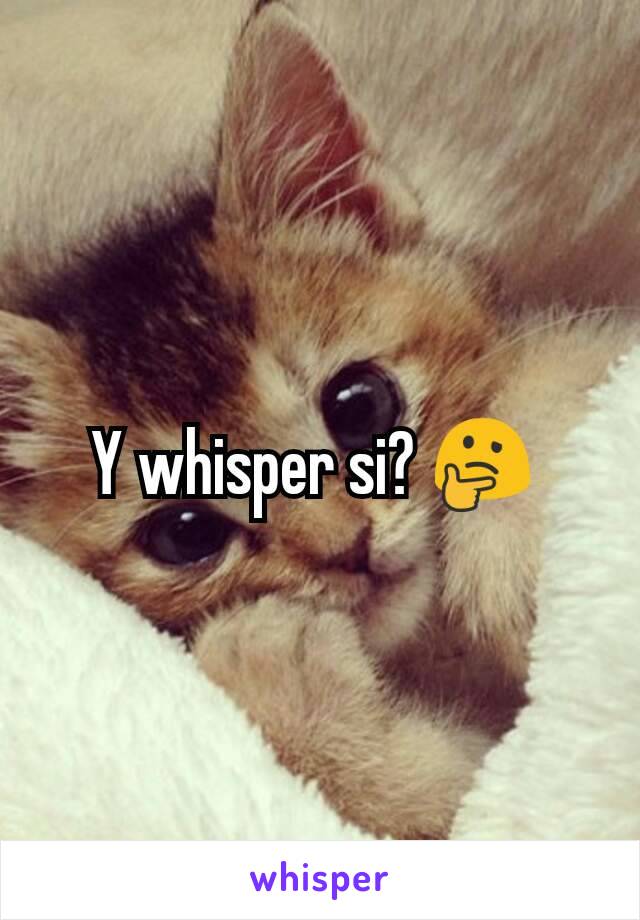 Y whisper si? 🤔 