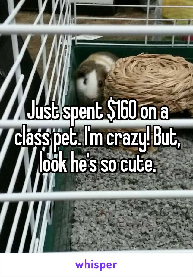 Just spent $160 on a class pet. I'm crazy! But, look he's so cute.