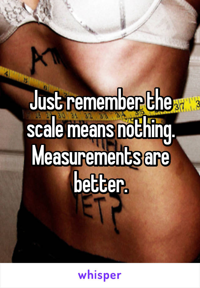 Just remember the scale means nothing. Measurements are better.