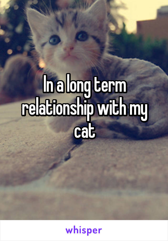 In a long term relationship with my cat
