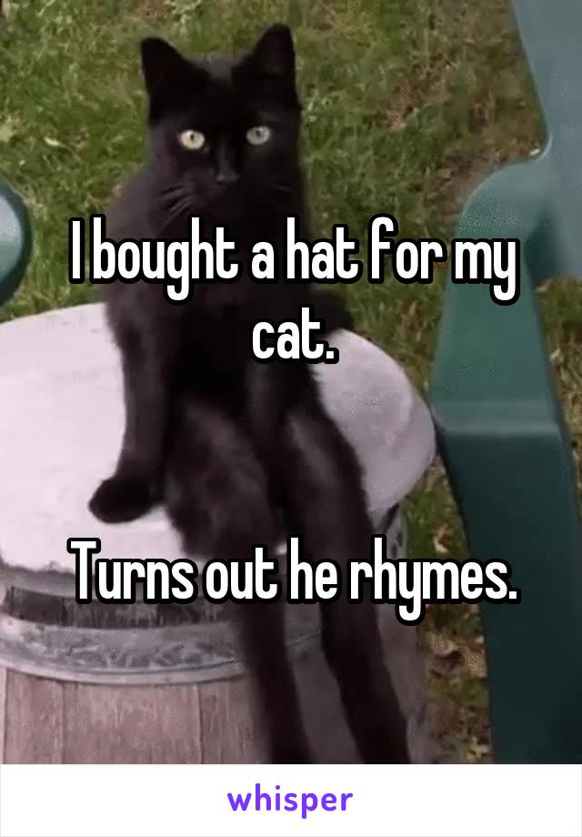 I bought a hat for my cat.


Turns out he rhymes.