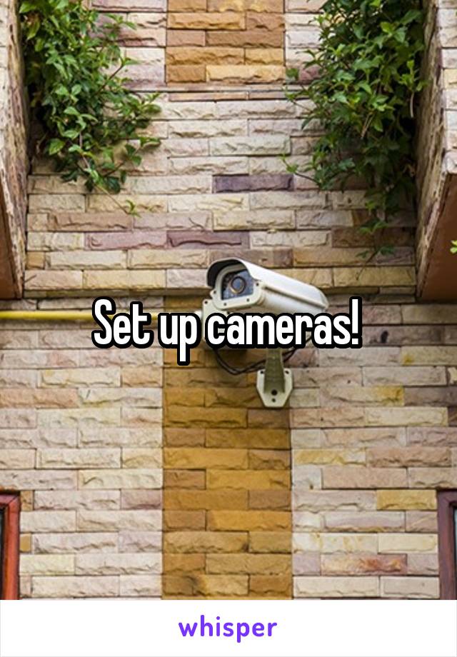 Set up cameras! 