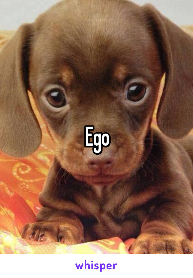 Ego