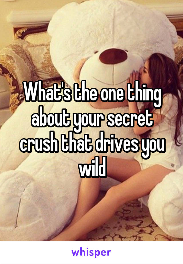 What's the one thing about your secret crush that drives you wild