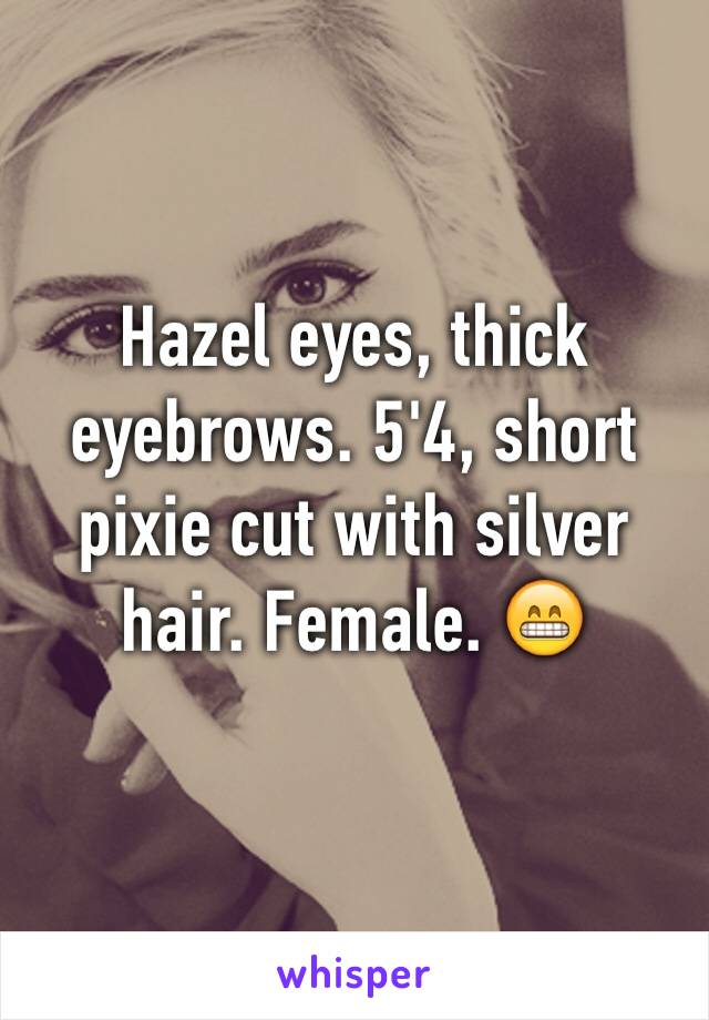 Hazel eyes, thick eyebrows. 5'4, short pixie cut with silver hair. Female. 😁