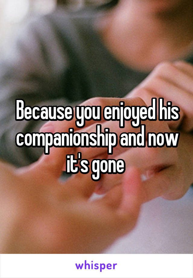 Because you enjoyed his companionship and now it's gone 