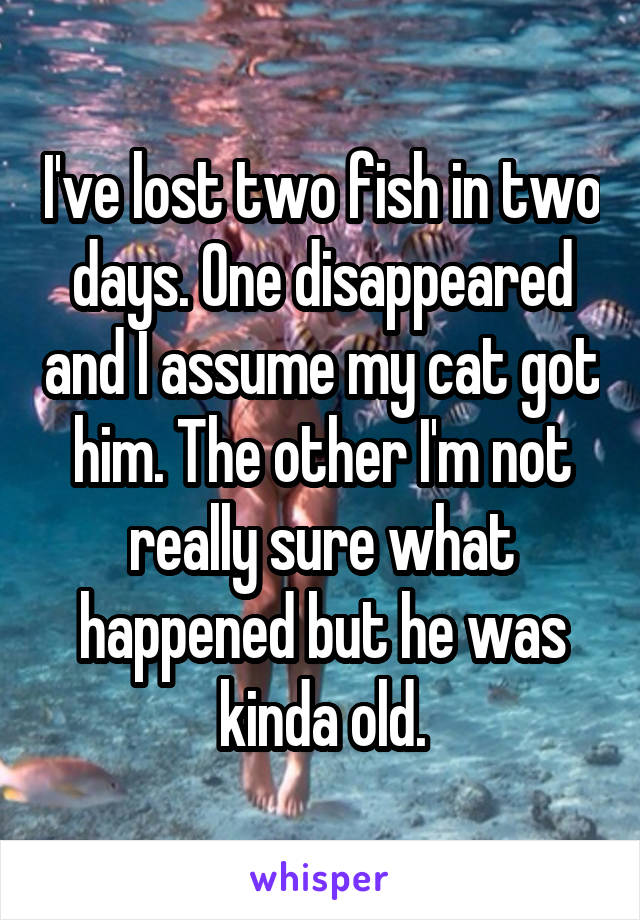 I've lost two fish in two days. One disappeared and I assume my cat got him. The other I'm not really sure what happened but he was kinda old.