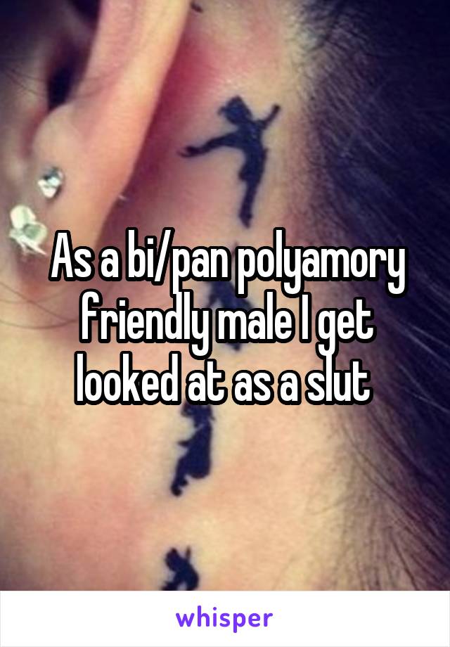 As a bi/pan polyamory friendly male I get looked at as a slut 