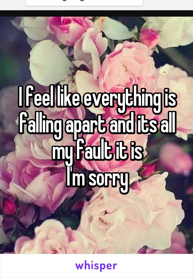 I feel like everything is falling apart and its all my fault it is
I'm sorry