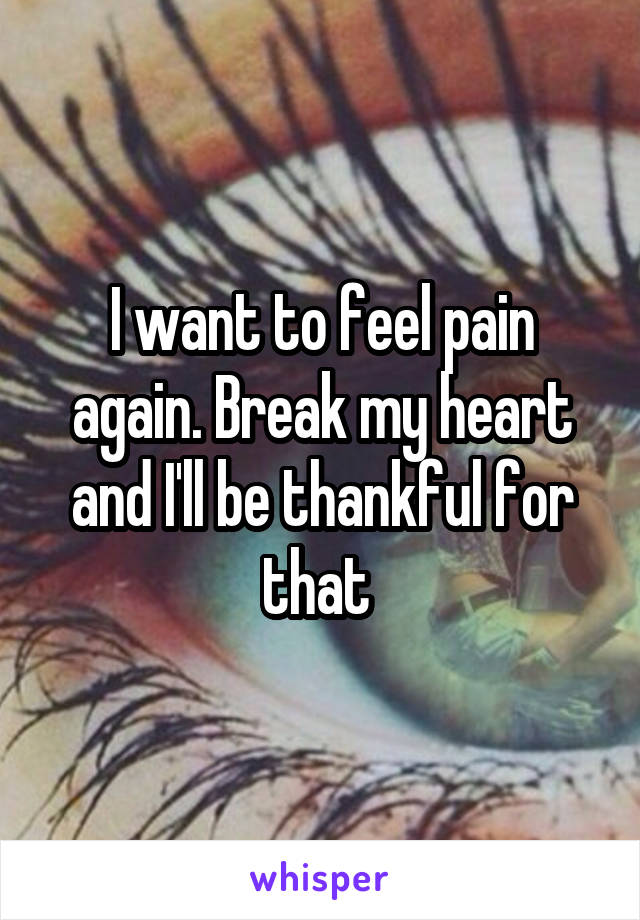 I want to feel pain again. Break my heart and I'll be thankful for that 