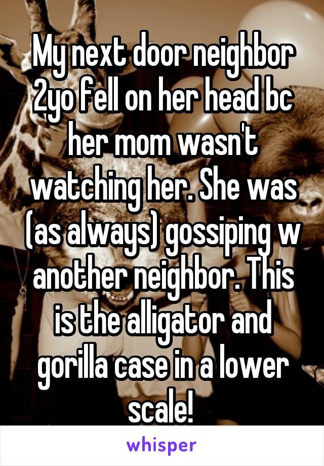 My next door neighbor 2yo fell on her head bc her mom wasn't watching her. She was (as always) gossiping w another neighbor. This is the alligator and gorilla case in a lower scale! 