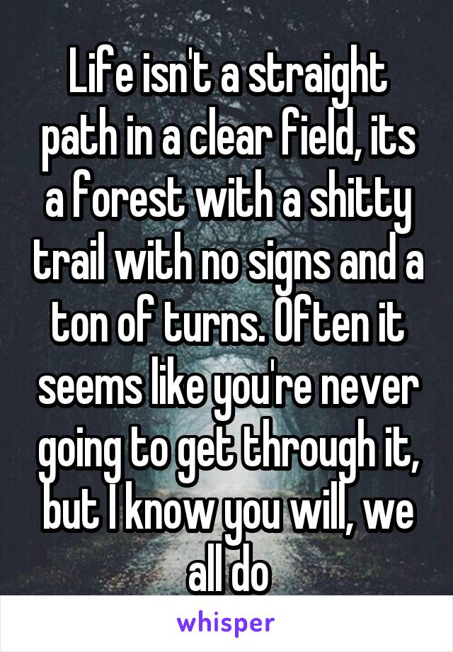 Life isn't a straight path in a clear field, its a forest with a shitty trail with no signs and a ton of turns. Often it seems like you're never going to get through it, but I know you will, we all do