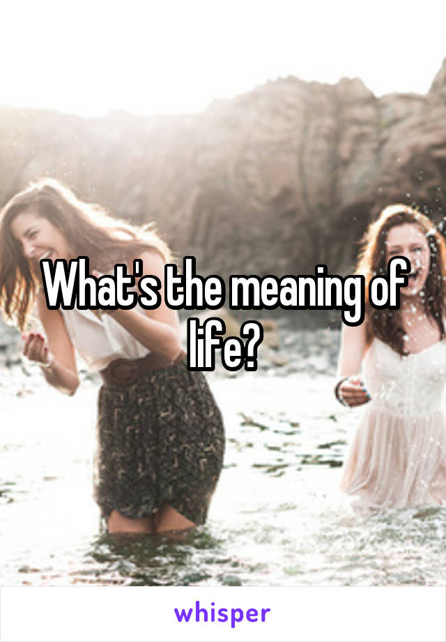 What's the meaning of life?