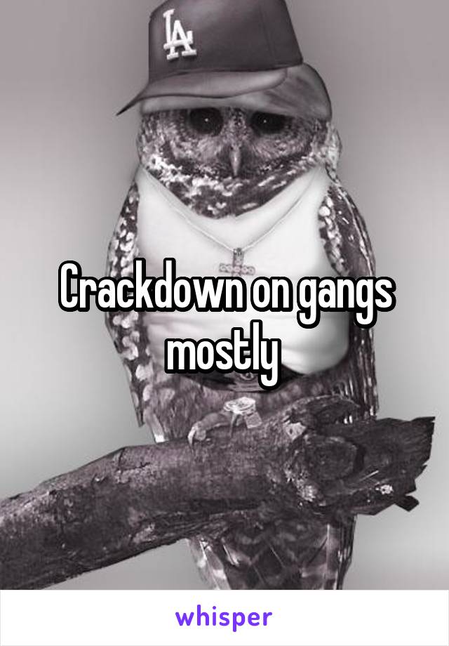 Crackdown on gangs mostly 