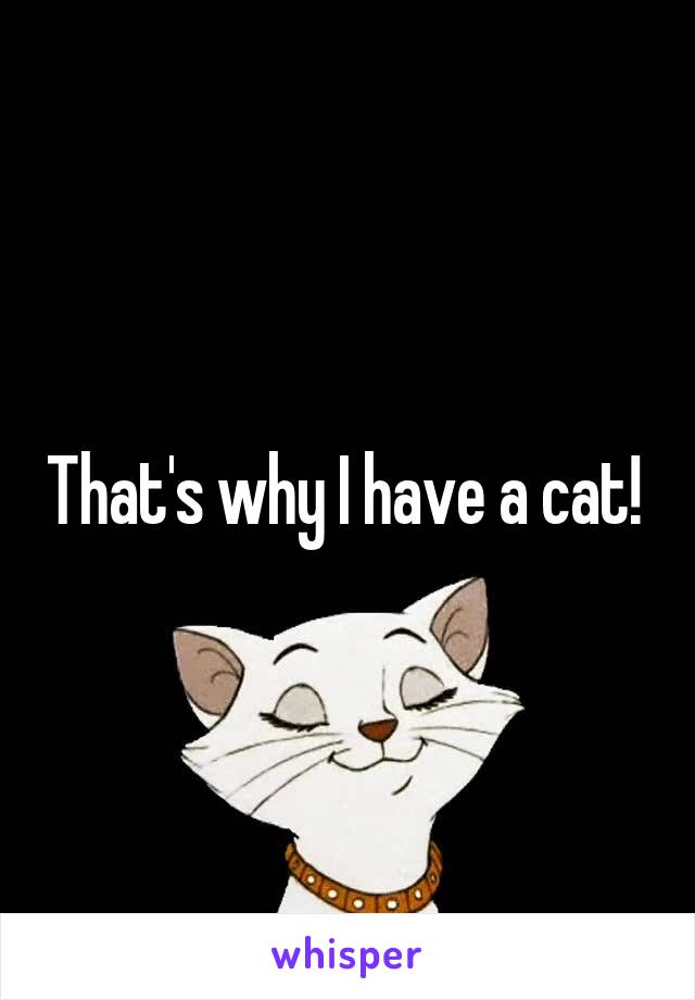 That's why I have a cat! 