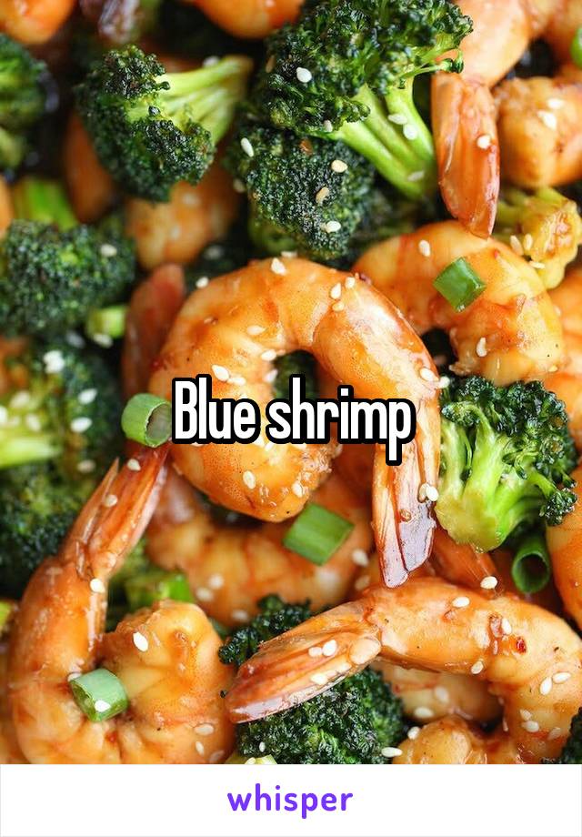 Blue shrimp