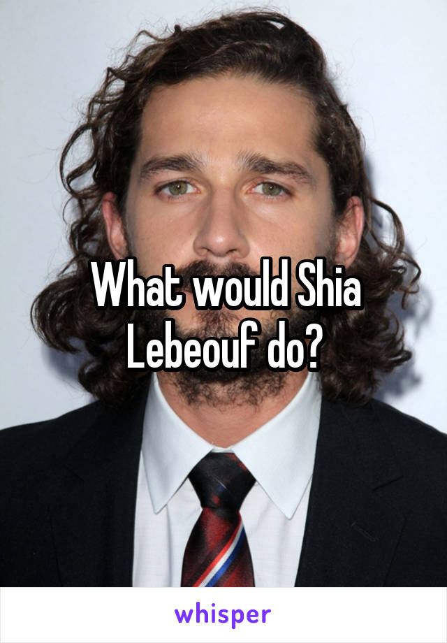 What would Shia Lebeouf do?