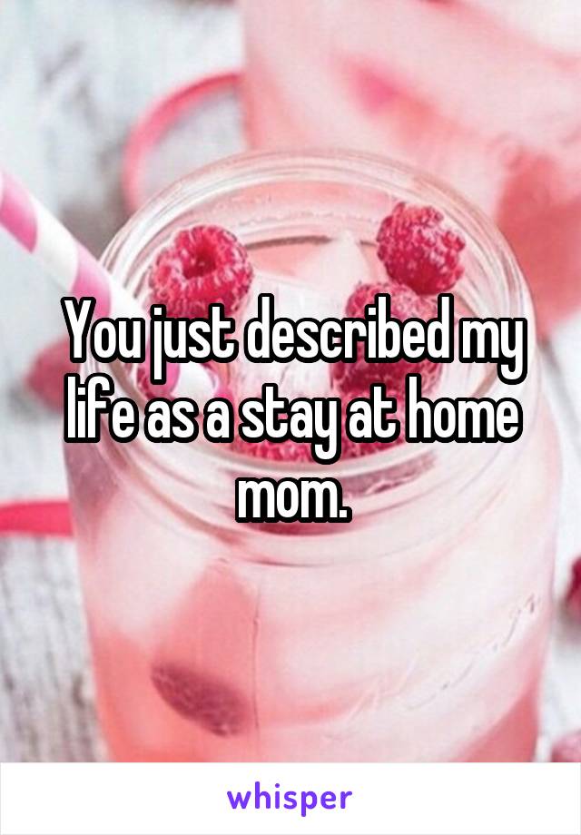 You just described my life as a stay at home mom.