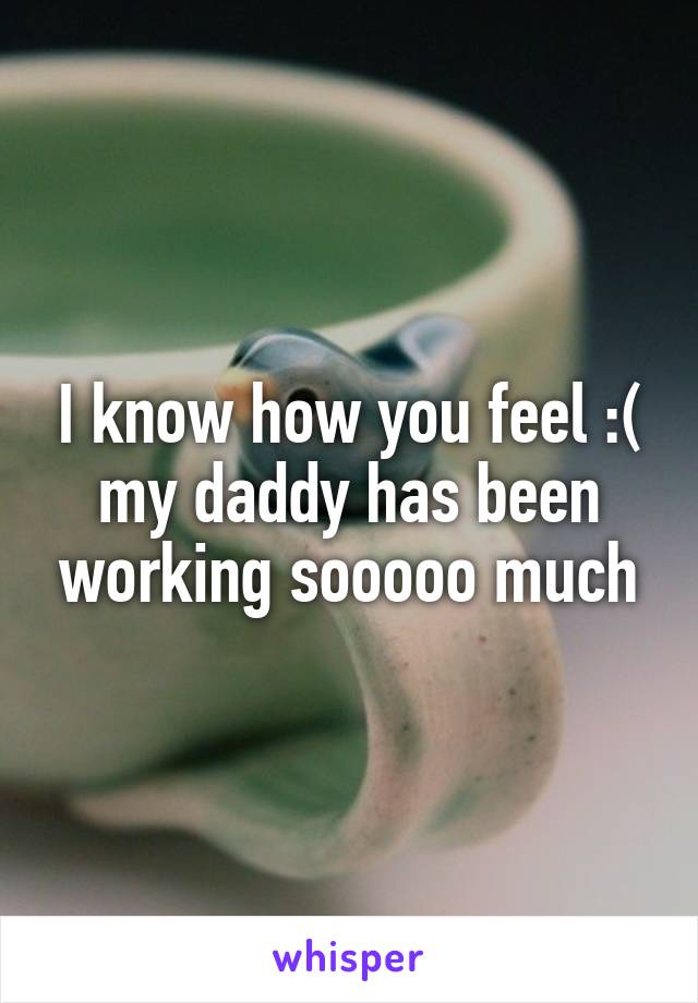 I know how you feel :(
my daddy has been working sooooo much