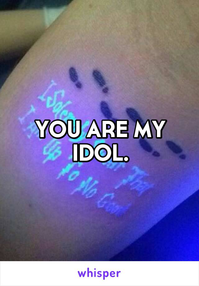 YOU ARE MY IDOL.