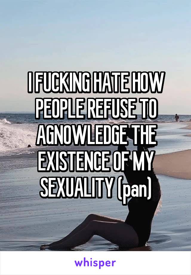 I FUCKING HATE HOW PEOPLE REFUSE TO AGNOWLEDGE THE EXISTENCE OF MY SEXUALITY (pan)