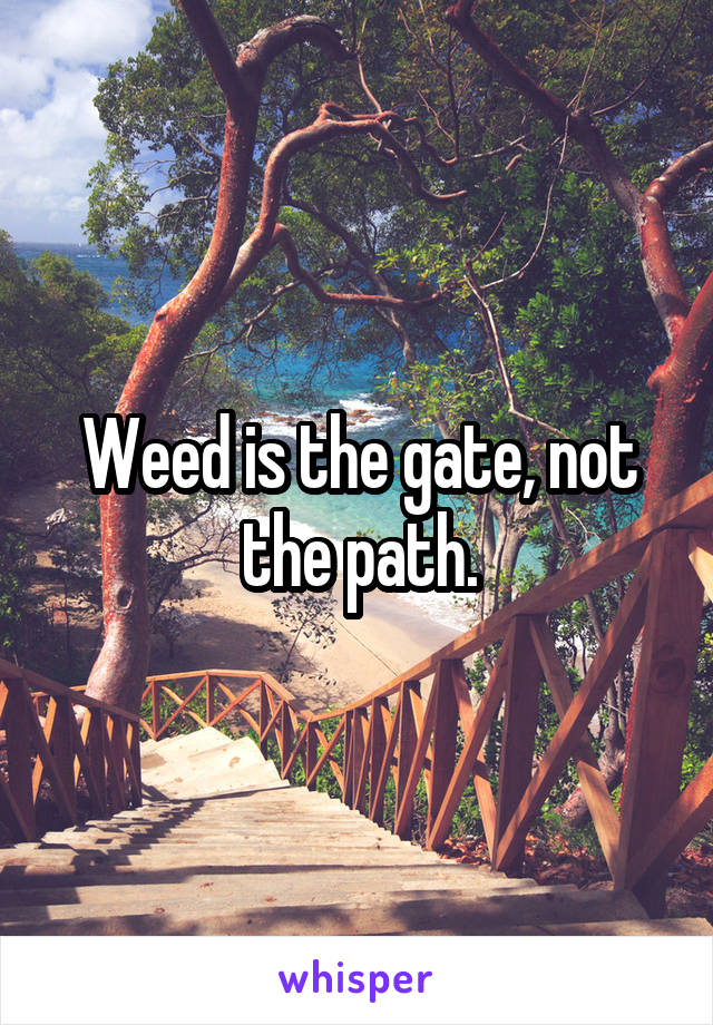 Weed is the gate, not the path.