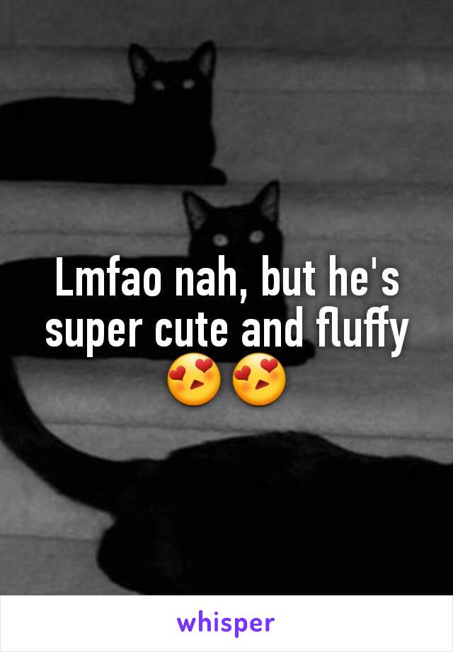 Lmfao nah, but he's super cute and fluffy 😍😍