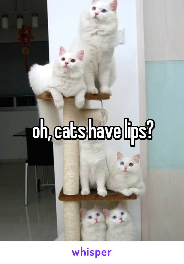 oh, cats have lips?