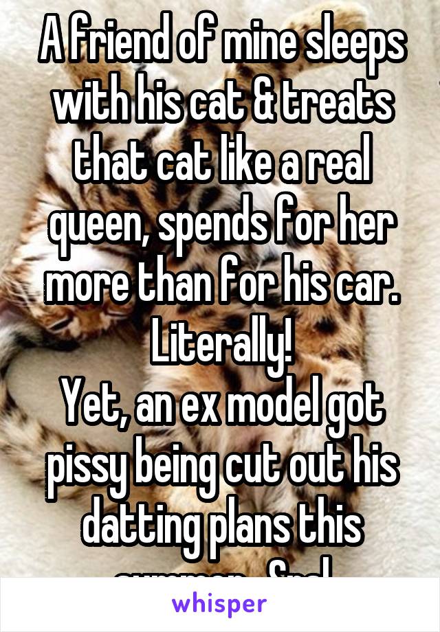 A friend of mine sleeps with his cat & treats that cat like a real queen, spends for her more than for his car. Literally!
Yet, an ex model got pissy being cut out his datting plans this summer...Srsl