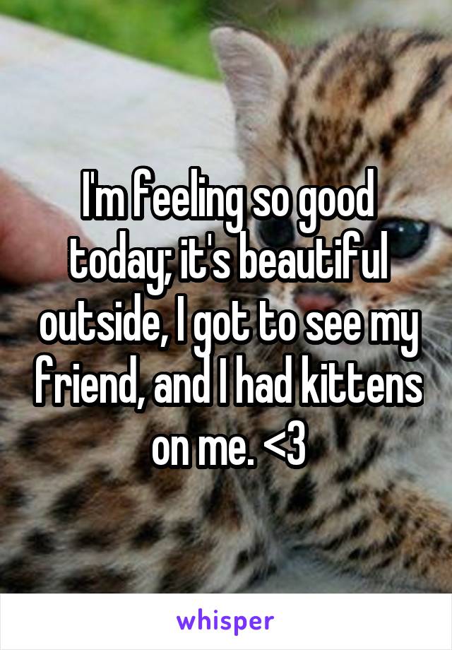 I'm feeling so good today; it's beautiful outside, I got to see my friend, and I had kittens on me. <3