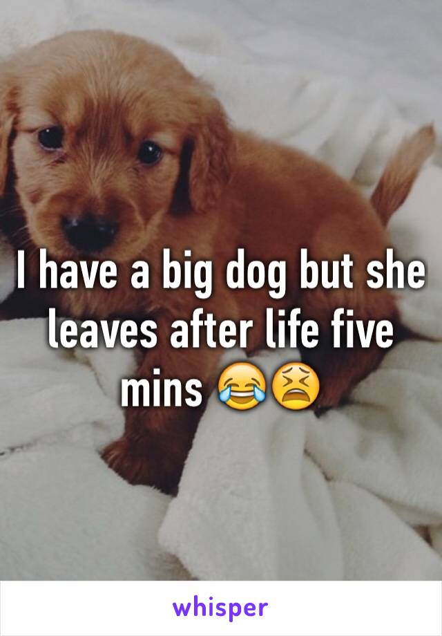 I have a big dog but she leaves after life five mins 😂😫