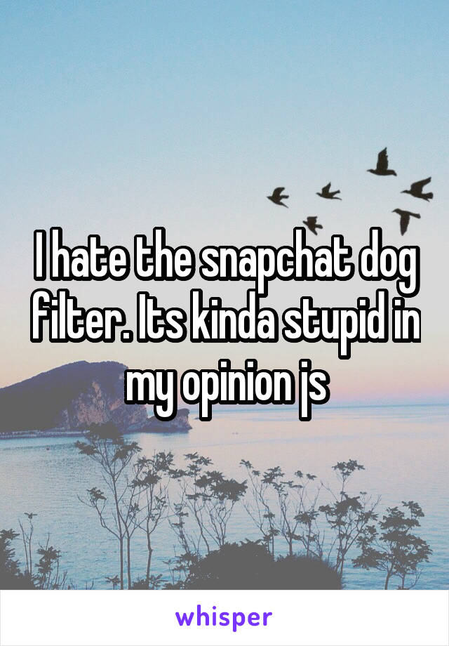 I hate the snapchat dog filter. Its kinda stupid in my opinion js