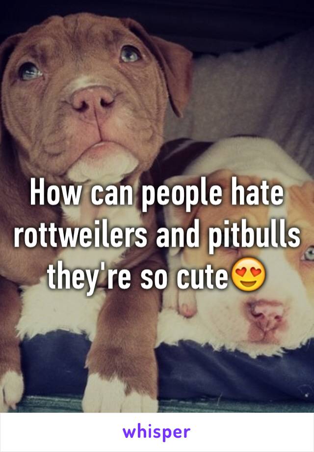 How can people hate rottweilers and pitbulls they're so cute😍