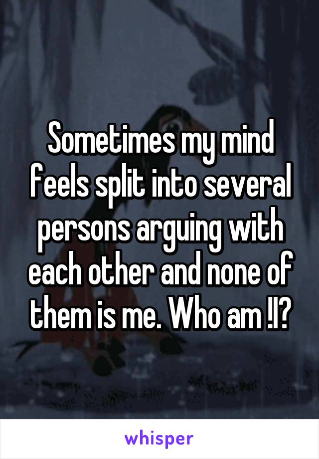 Sometimes my mind feels split into several persons arguing with each other and none of them is me. Who am !I?