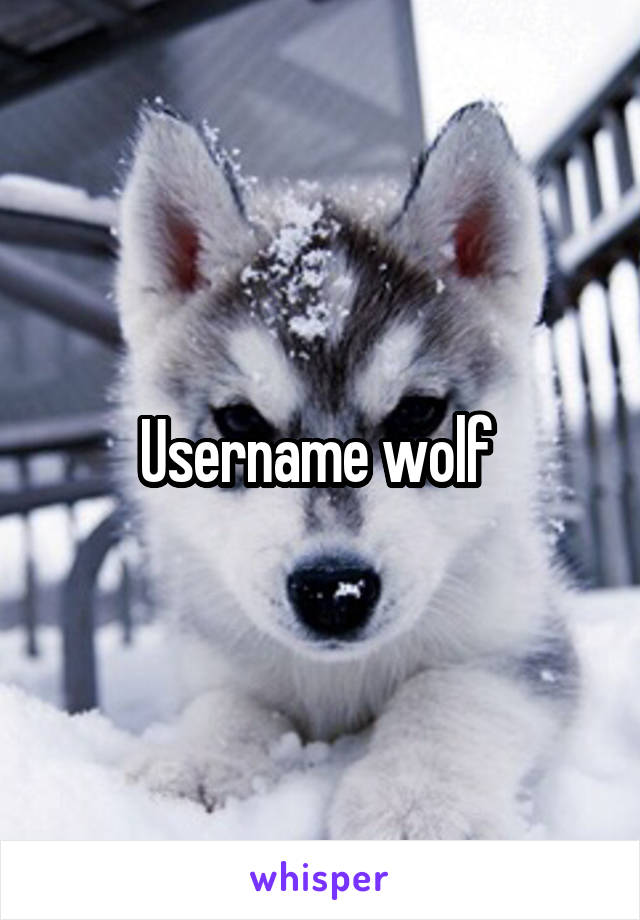 Username wolf 