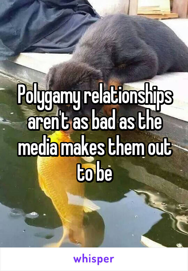 Polygamy relationships aren't as bad as the media makes them out to be