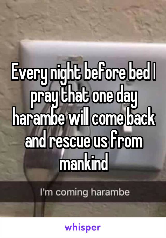 Every night before bed I pray that one day harambe will come back and rescue us from mankind