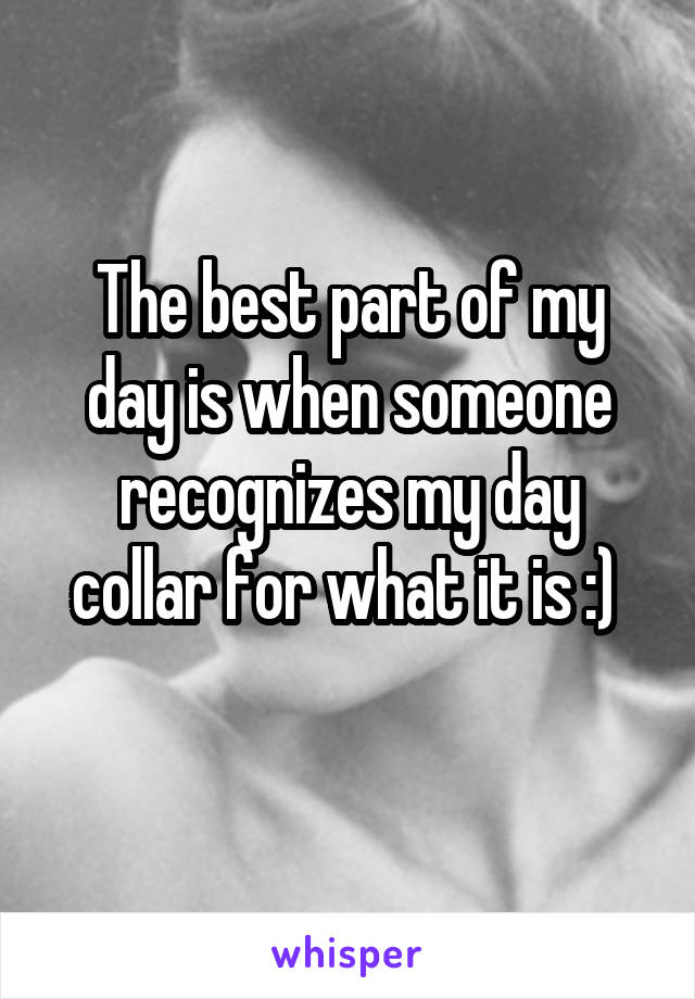 The best part of my day is when someone recognizes my day collar for what it is :) 
