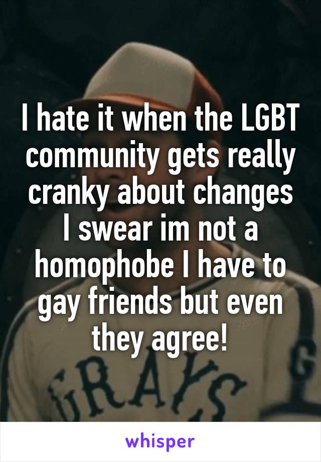 I hate it when the LGBT community gets really cranky about changes I swear im not a homophobe I have to gay friends but even they agree!