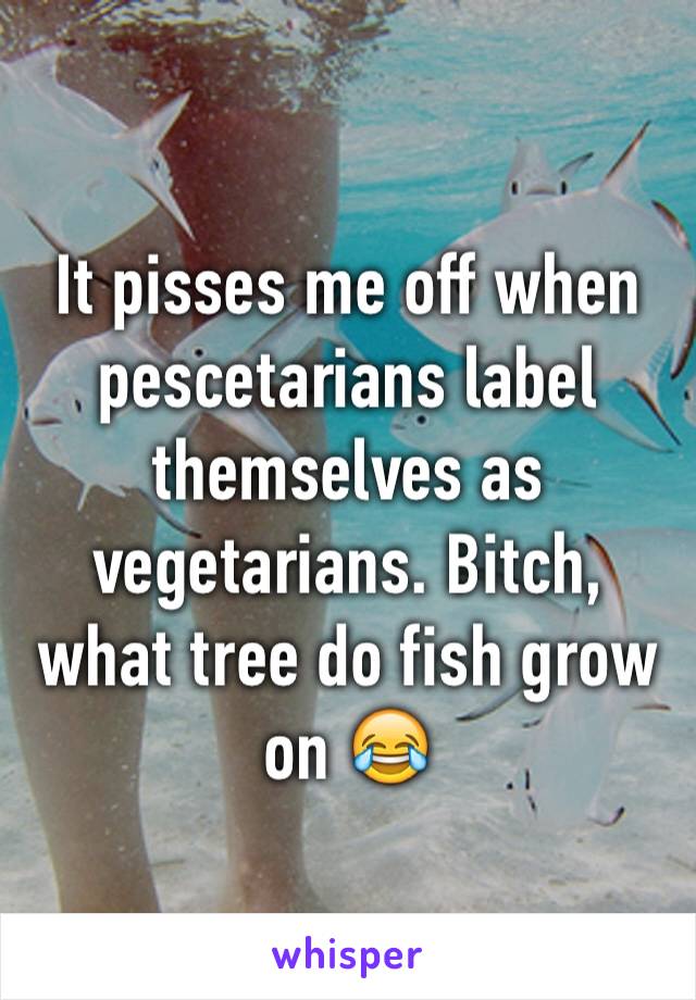 It pisses me off when pescetarians label themselves as vegetarians. Bitch, what tree do fish grow on 😂