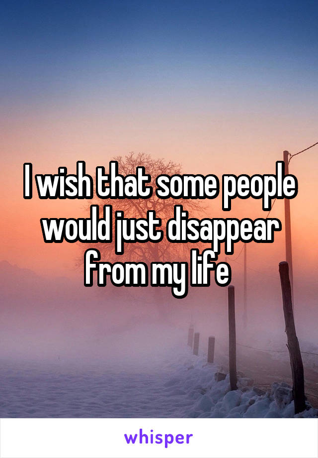 I wish that some people would just disappear from my life 